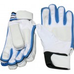 RS Robinson Microlite Batting Gloves (Boys)